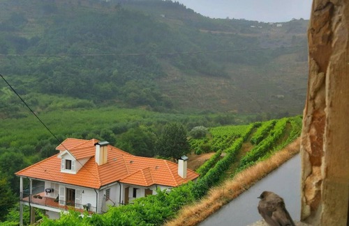 Lamego Villa | Casa do Caseiro by Quinta de Recião