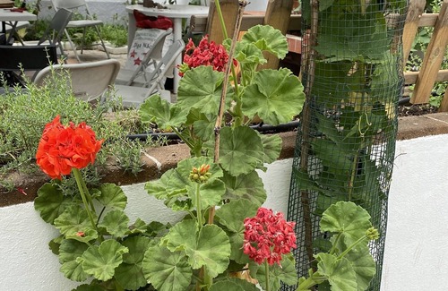 Evora Apartment | Casa do Menino Jesus: Estúdio Para Férias e fim de Semana