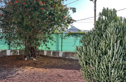 Arona Cottage | Casa Don Daniel