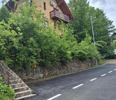 Sovata House | Casa Dora