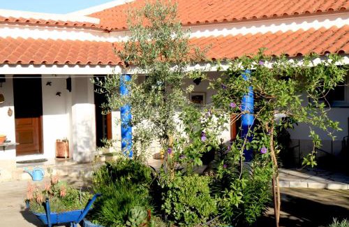 Reguengos de Monsaraz House | Casa dos Avós