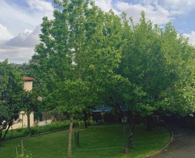 Amares House | Casa Dos Tinocos