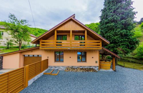 Baia Mare Villa | Casa Edelweiss