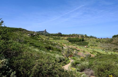 Vega de San Mateo Villa | Casa El Castaño