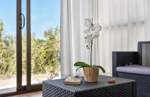 Tijarafe House | Casa El Naranjo Viejo