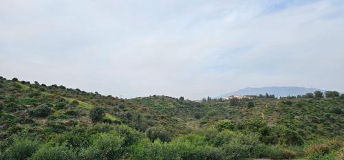 El Faro Apartment | Casa Elma - Modern 2BR Apartment - Pool - Nature