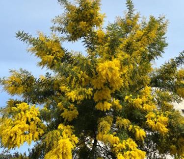 Montebelluna Apartment | CASA ELSA Charming Apartment