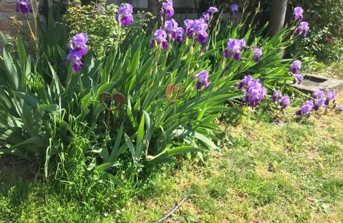 Montebelluna Apartment | CASA ELSA Charming Apartment