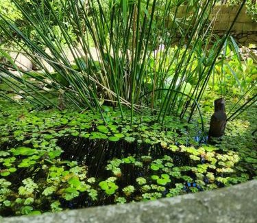 La Granja House | CASA EN VERTIENTES DE LA GRANJA