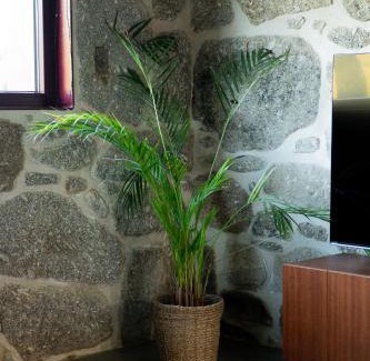 Geraz do Minho House | Casa Encosta do Monte