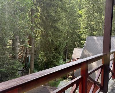 Poiana Brasov Cabin | Casa Familiei