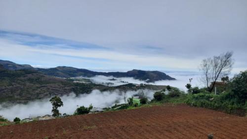 Ooty Bed & Breakfast | Casa Felicia-Adding happy moments to your diary
