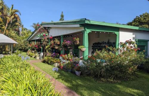 Llanogrande House | Casa Finca Paititi