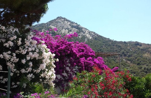 Pomonte House | Casa Fiore