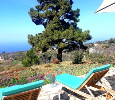 Las Tricias House | Casa Flor azul