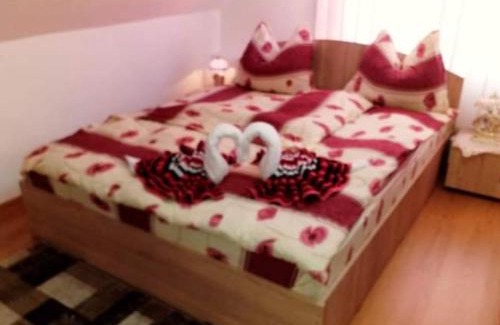 Soars House | Casa Florilor Barcut