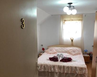 Soars House | Casa Florilor Barcut