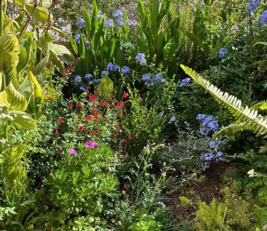 Santiago do Cacem Apartment | Casa Flow and Glow