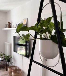 Cognola Apartment | Casa Giona