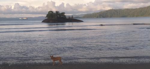 Nuqui House | casa guayaba lodge