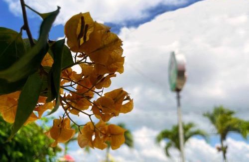 Apartado Hotel | Casa hotel Mateguadua