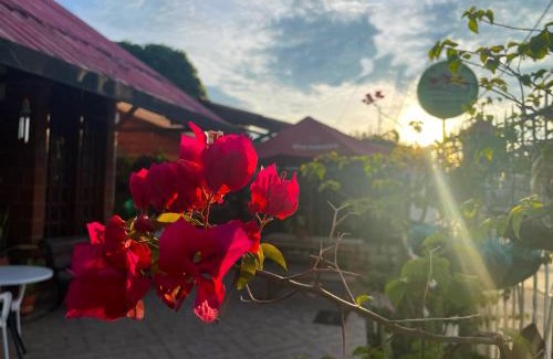 Apartado Hotel | Casa hotel Mateguadua