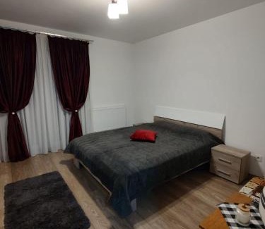 Tirgu Mures Apartment | Casa Ioana