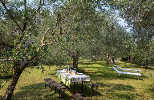 Sant'Ambrogio di Valpolicella Apartment | Casa Dal Vecio Carli