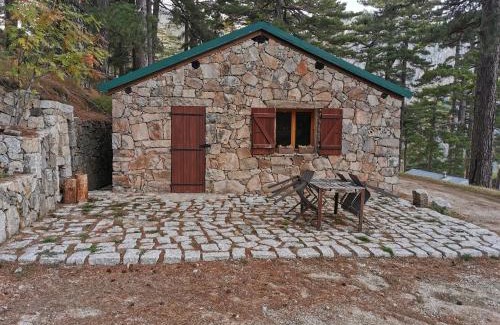 Quenza Ski Chalet | Casa Jeromine