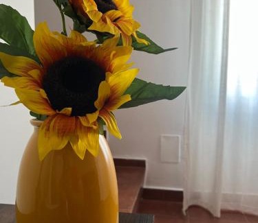 Tordesillas House | Casa Julio Tordesillas