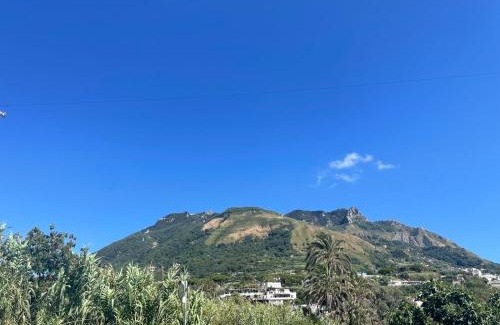 Forio Apartment | casa l'olivo