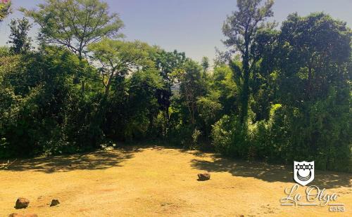 Eldorado House | Casa LA OLGA