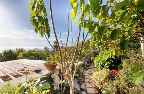 Villa de Mazo Apartment | Casa La Panacea