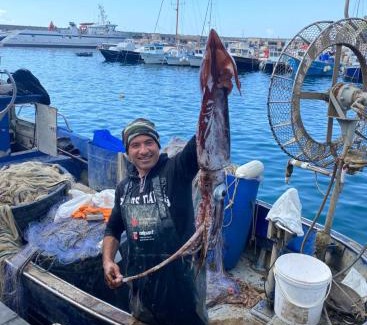 Cetara Apartment | Casa Landi