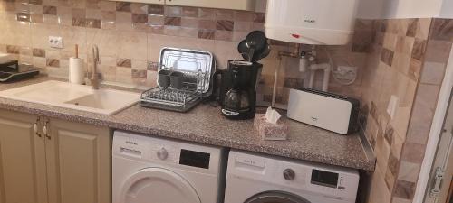 Paltineni House | Casa linistita Ilie