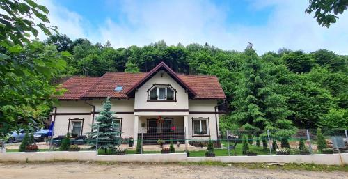 Moieciu de Jos House | Casa Lizuca