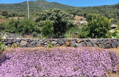 Tigalate House | Casa Los Calderos