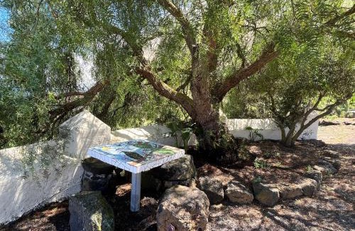 Tigalate House | Casa Los Calderos