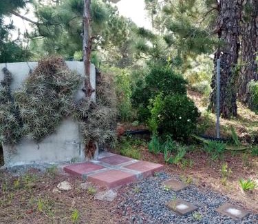 Puntagorda House | Casa Los Pinos - Sunset & WIFI