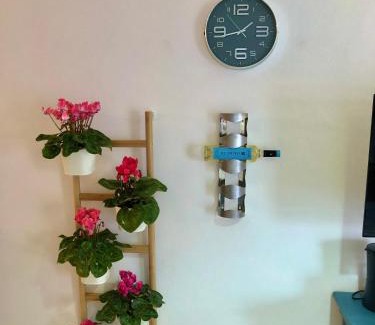 Valles de Ortega Apartment | Casa Lucilita