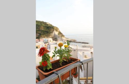 Sant'Angelo Apartment | Casa Maadry