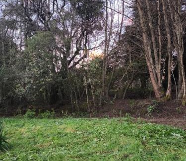 Salto del Laja House | Casa Maqui Salto del Laja