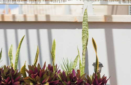 Sardina Apartment | Casa Maresía - Ocean View Penthouse, Terrace & BBQ