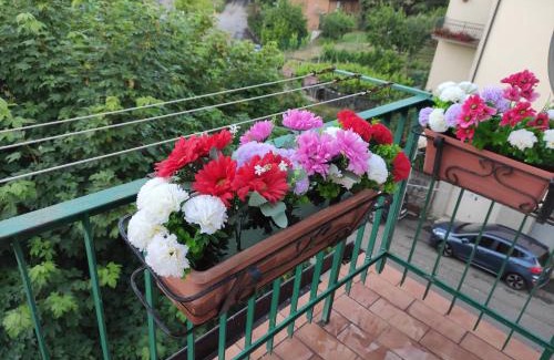 Castel del Piano Apartment | CASA MARIA Castel del Piano appartamento vista montagna in zona centrale