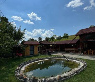 Vama Buzaului House | Casa Mariei