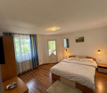 Vama Buzaului House | Casa Mariei