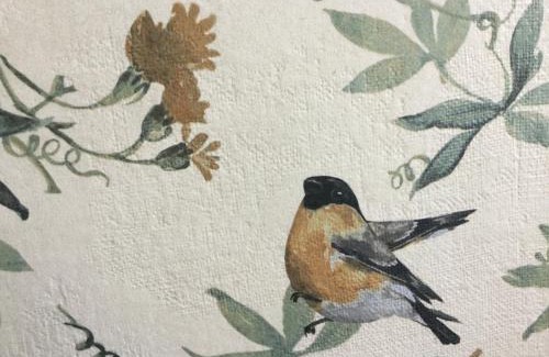 Barreiros House | Casa Melva