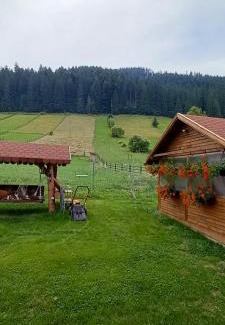 Campulung Moldovenesc Villa | Casa Mia