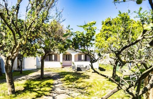 Procida Bed & Breakfast | Casa Mimi