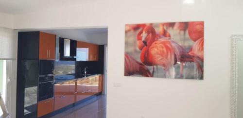 Frontera House | Casa Miramar